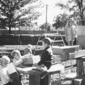 CPS-12
