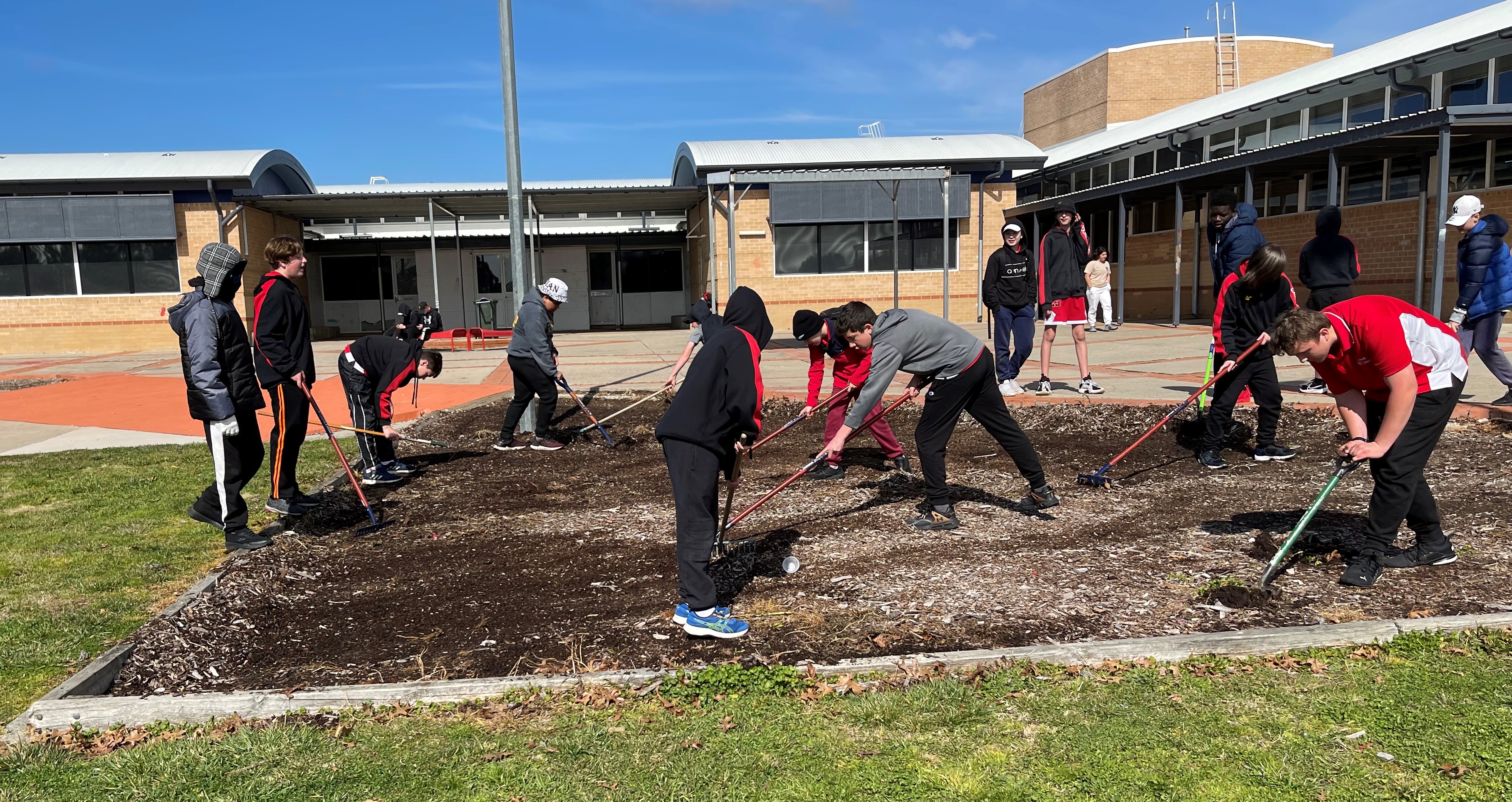 Calwell High School garden working bee